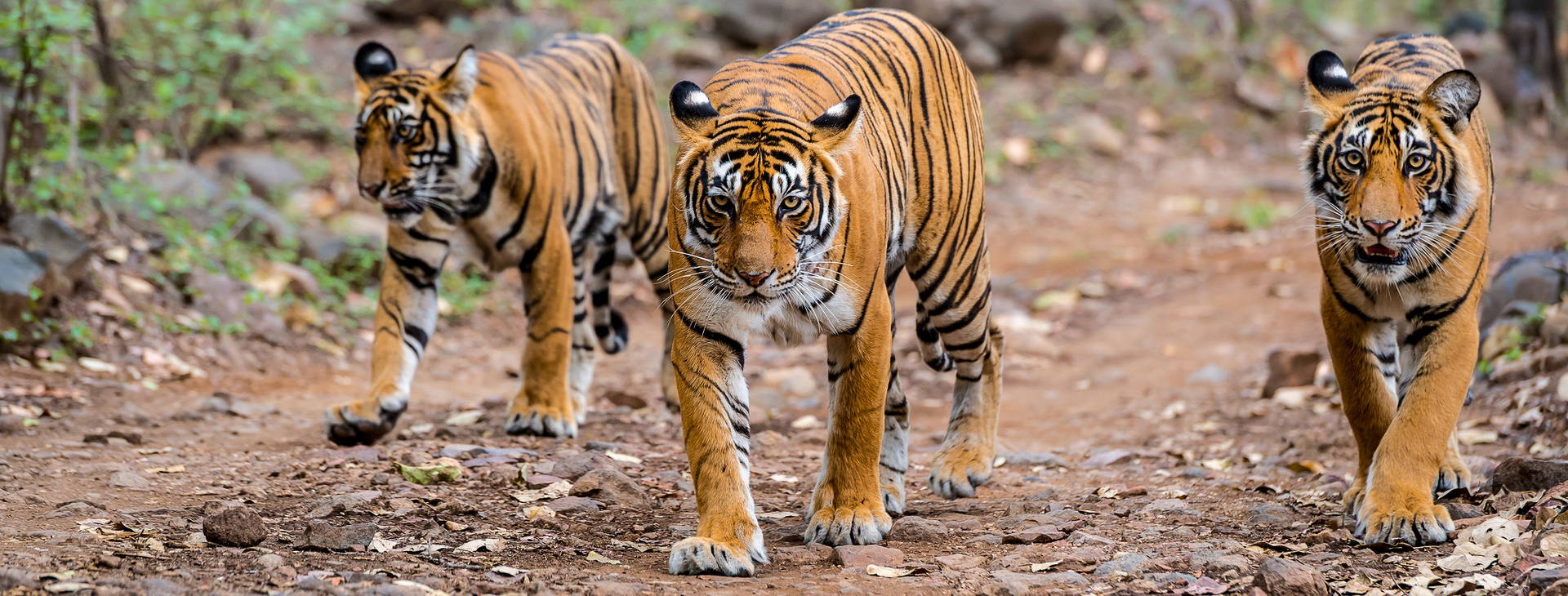 Ubytování ITG Obrázok0