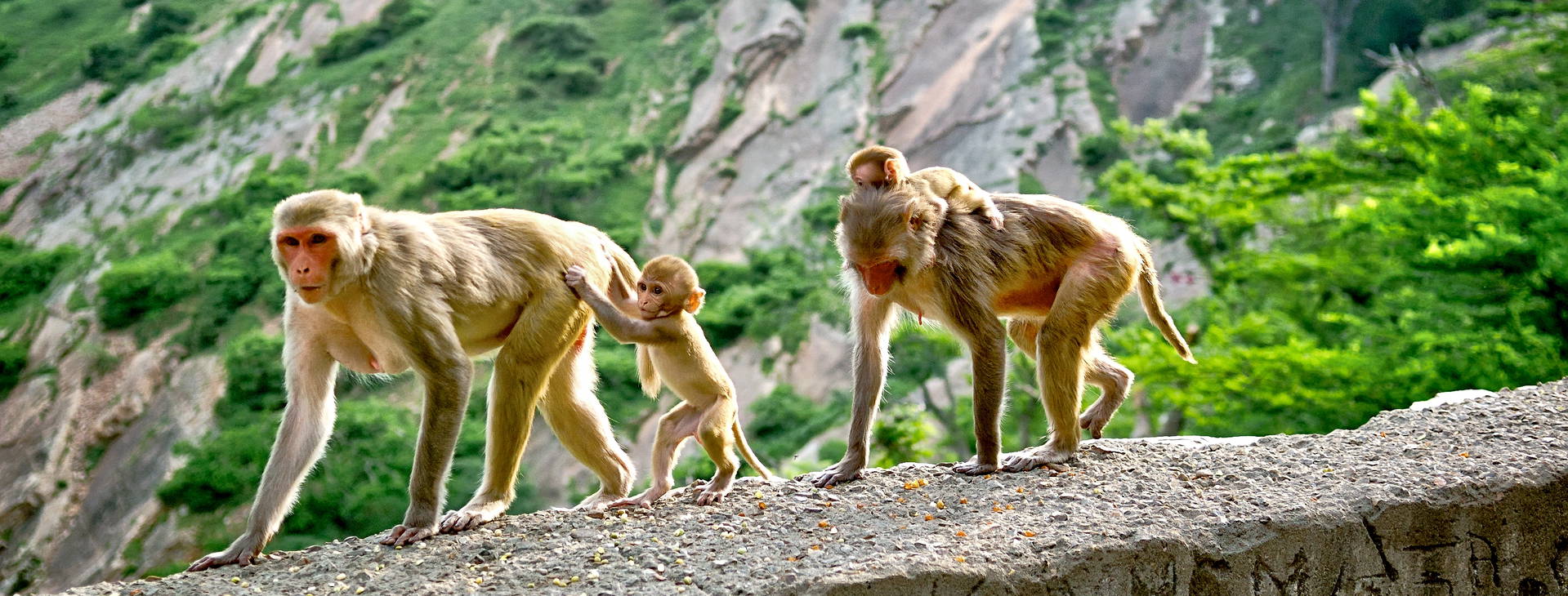 Ubytování ITG Obrázok11