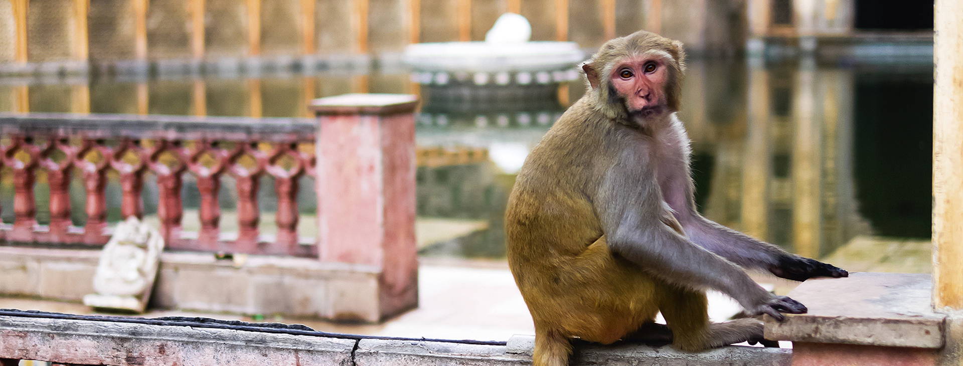 Ubytování ITG Obrázok10