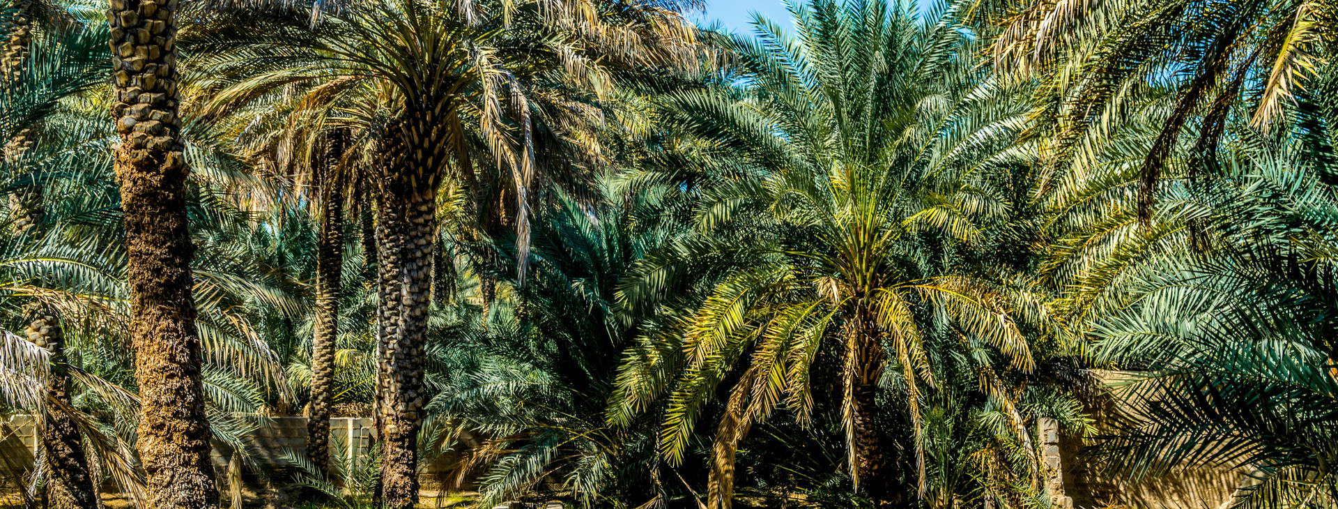 Ubytování ZIH Obrázok10