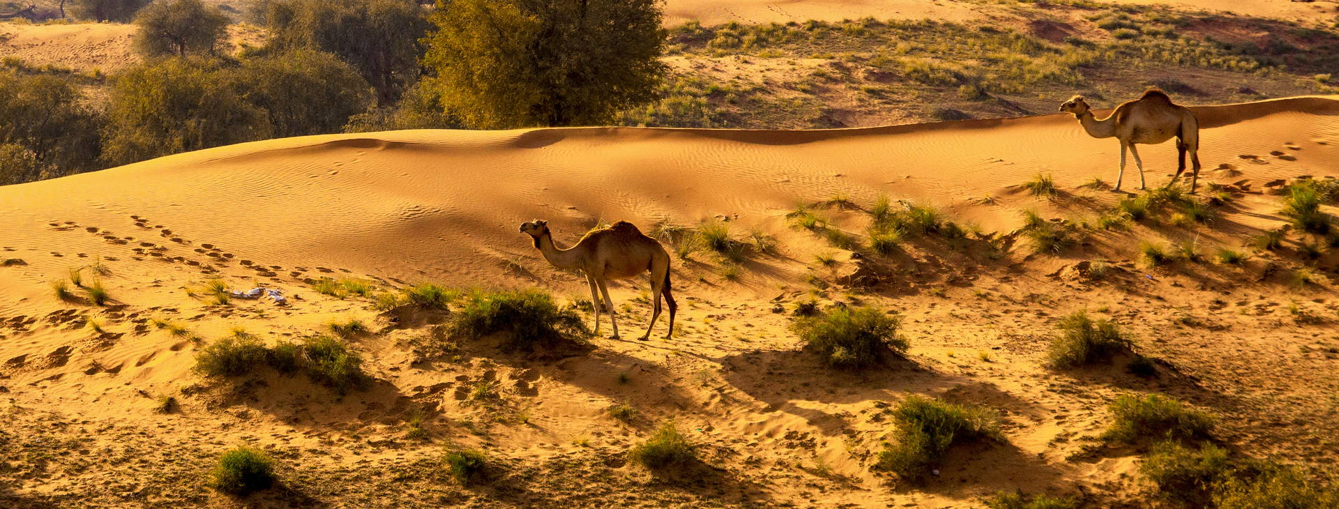 Ubytování ZIH Obrázok18