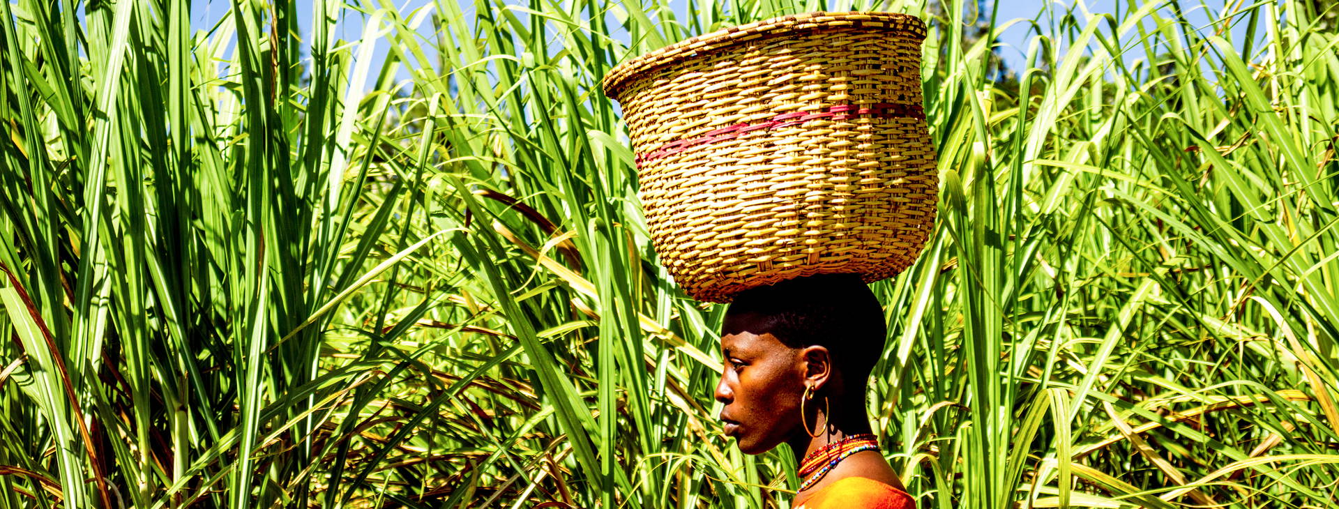 Ubytování GDS Obrázok0