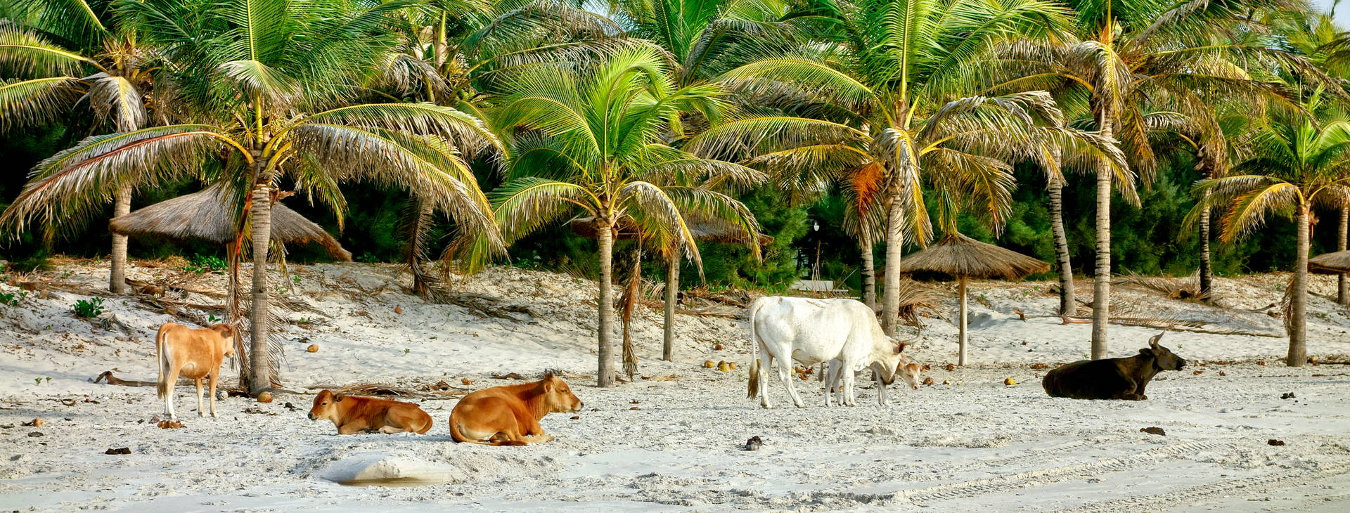 Ubytování GDS Obrázok9