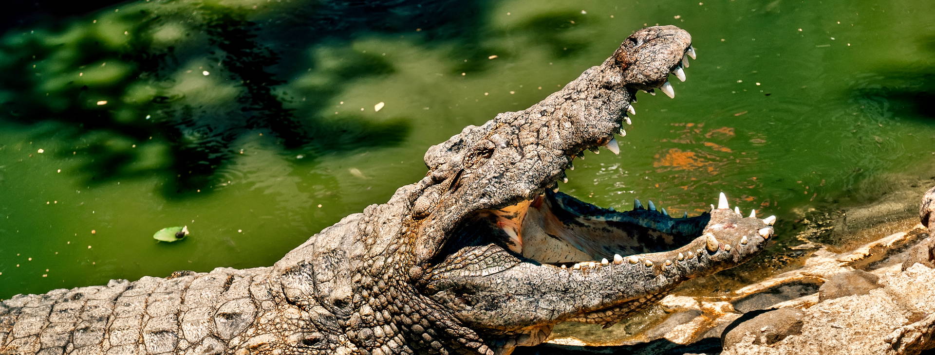 Ubytování GDS Obrázok21