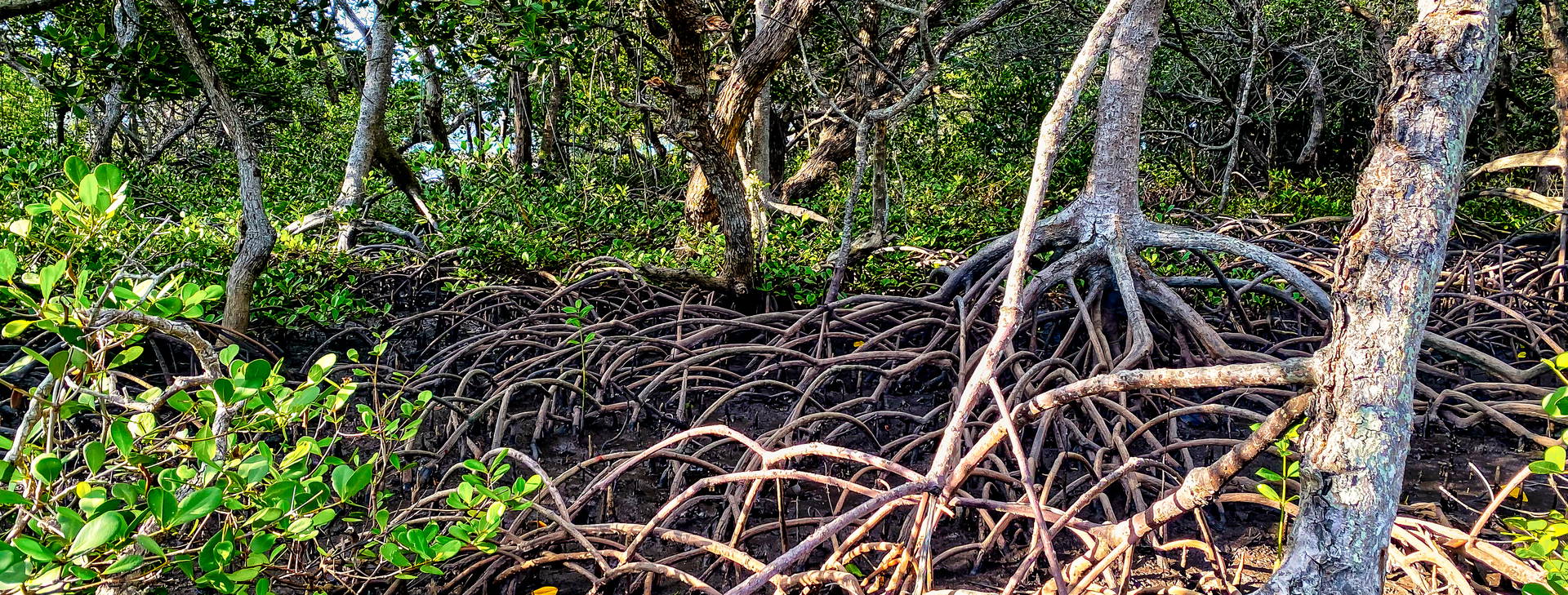 Ubytování GDS Obrázok24