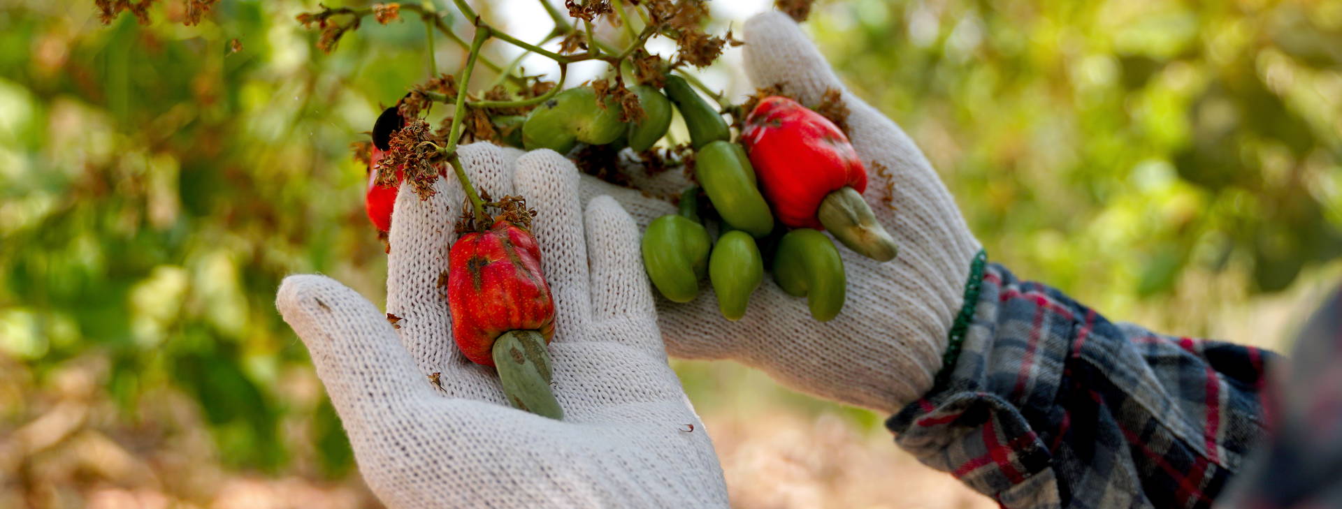 Ubytování GDS Obrázok30