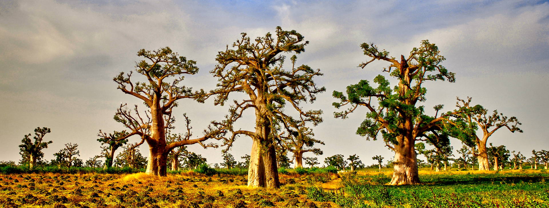 Ubytování GDS Obrázok29