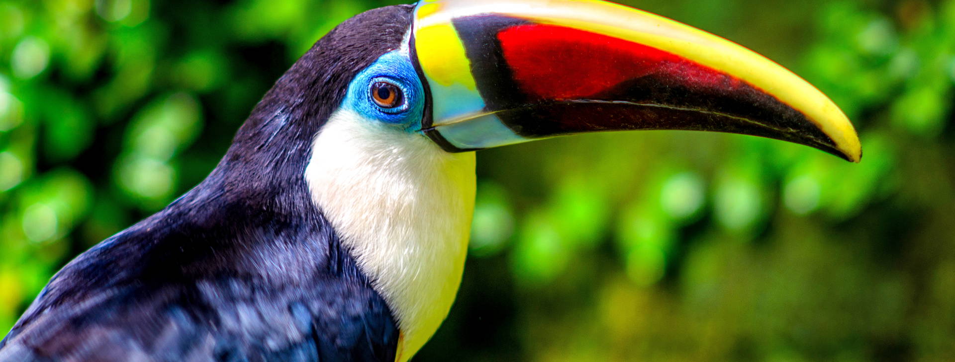 Ubytování PNC (Norwegian Jewel, Norwegian Pearl) Obrázok3