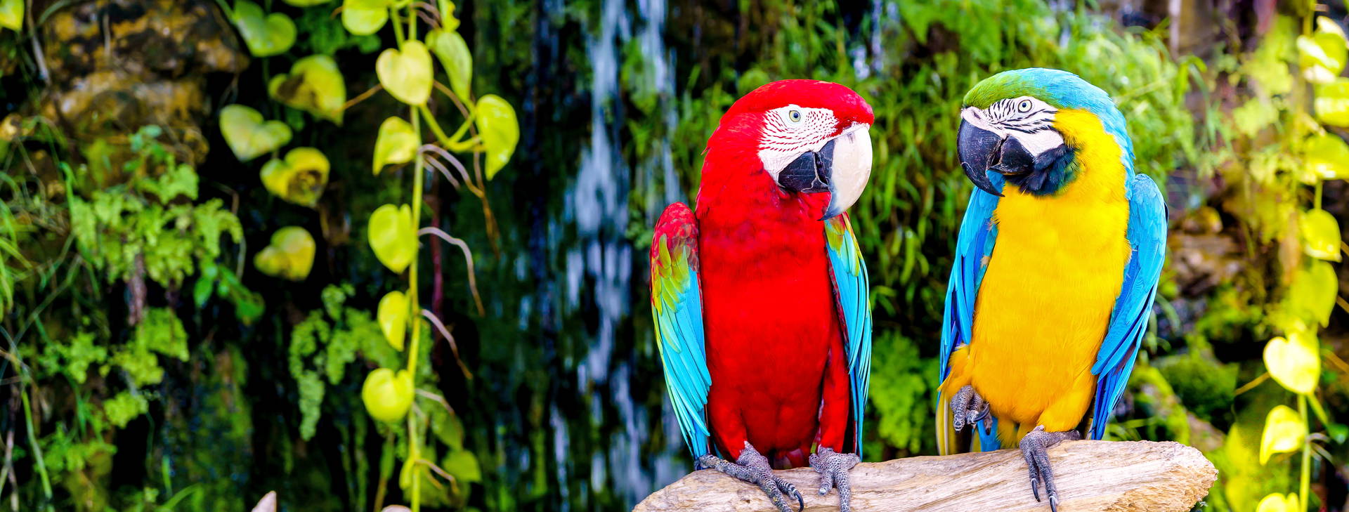 Ubytování PNC (Norwegian Jewel, Norwegian Pearl) Obrázok14