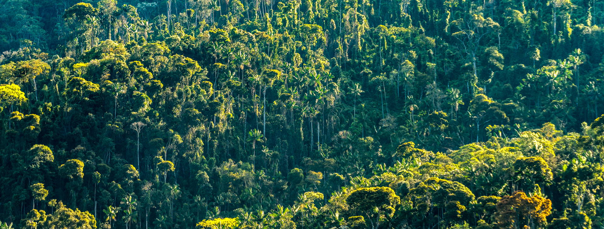 Ubytování PNC (Norwegian Jewel, Norwegian Pearl) Obrázok6