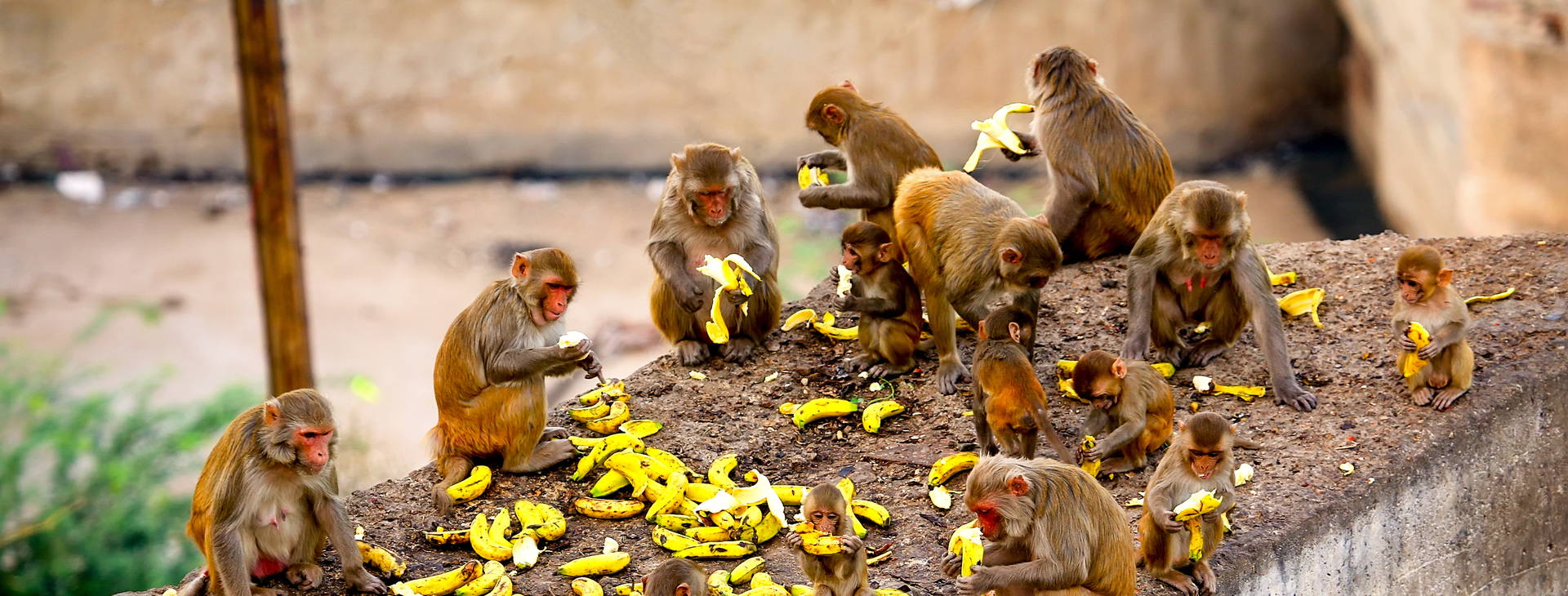 Ubytování IDZ Obrázok34