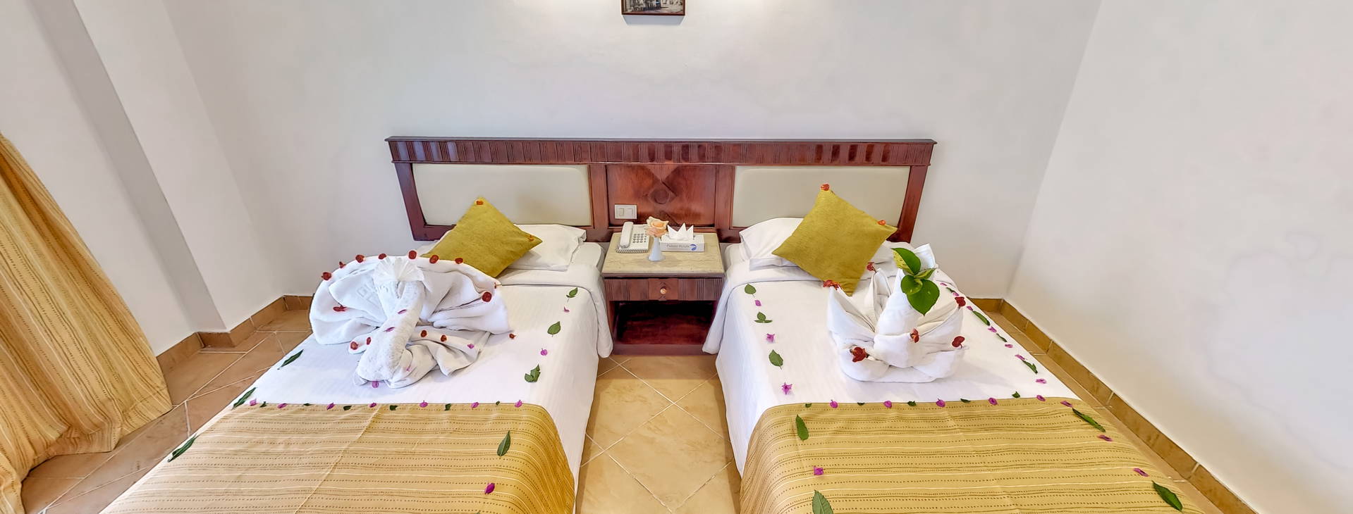 Falcon Naama Star Obrázok5