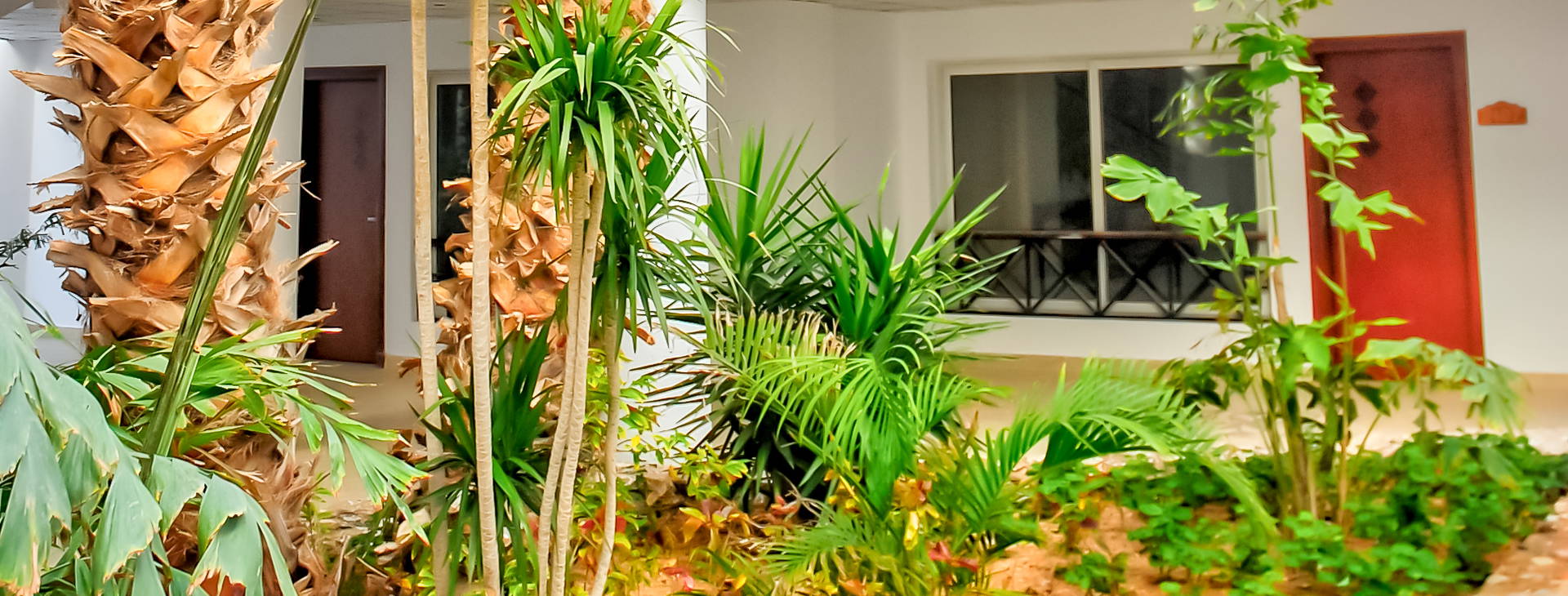 Falcon Naama Star Obrázok8