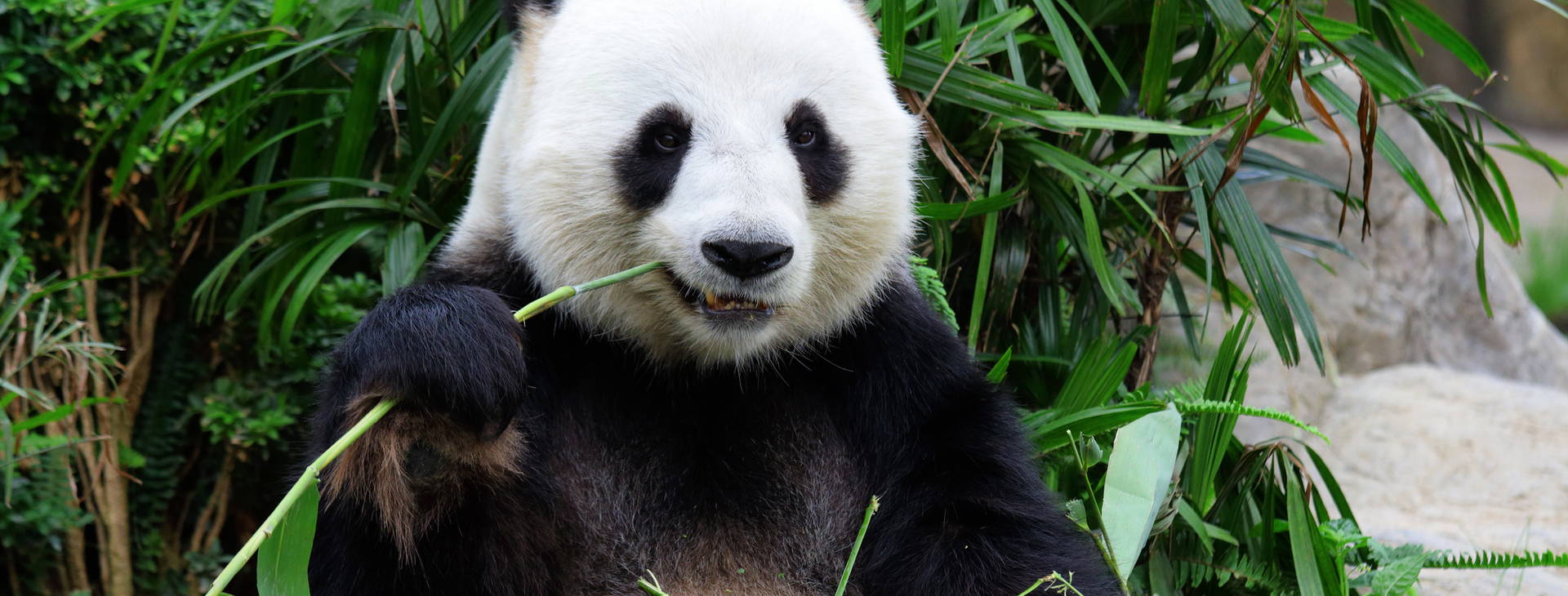 Ubytování CJA Obrázok2