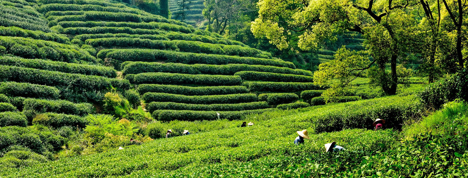 Ubytování CJA Obrázok7