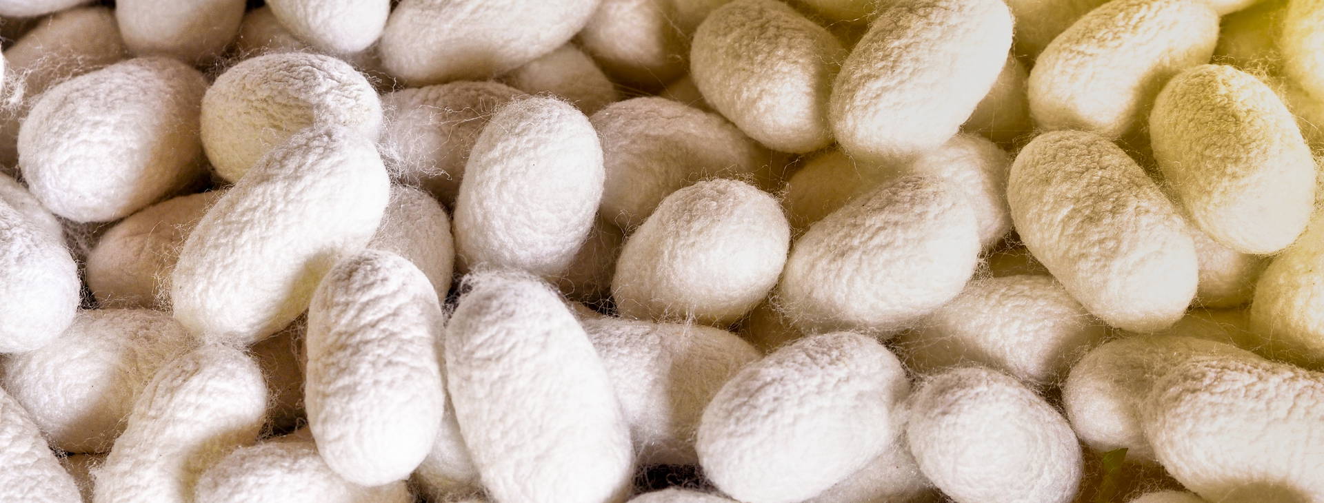 Ubytování CJA Obrázok13