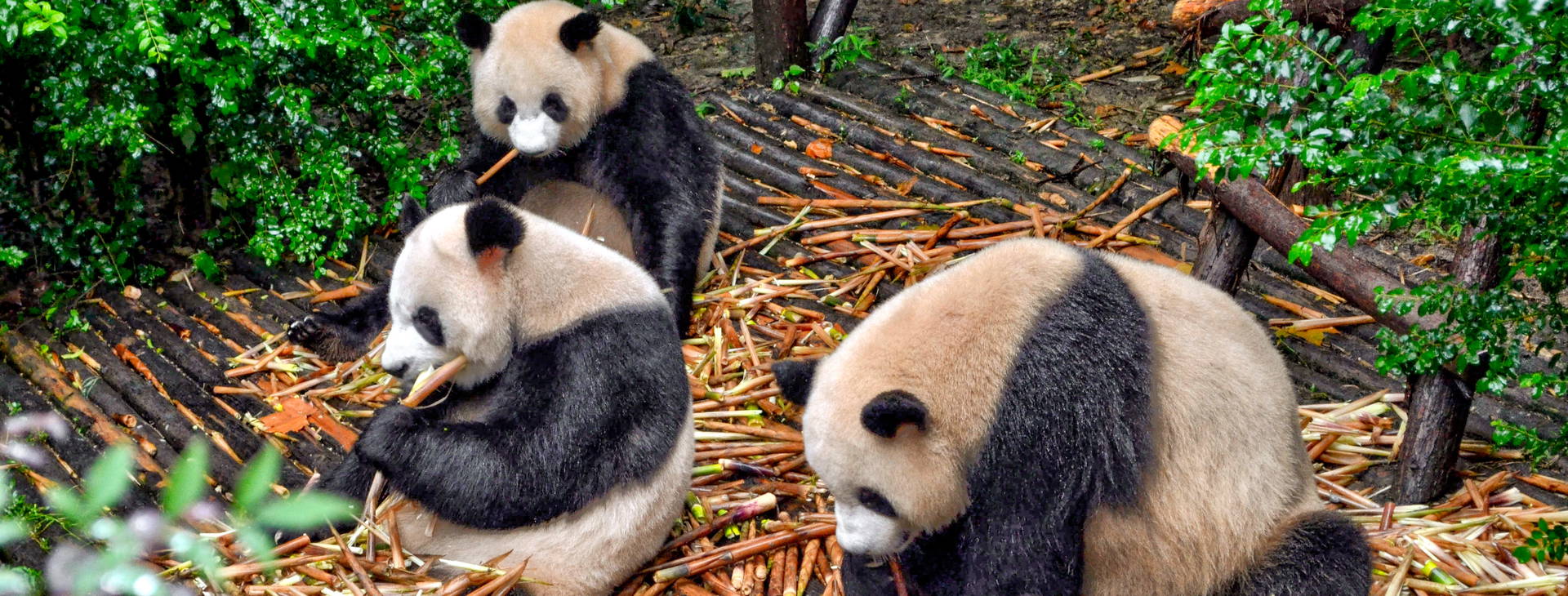 Ubytování CJA Obrázok12