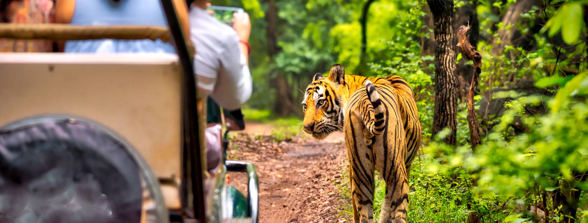 Ubytování IGT Obrázok3