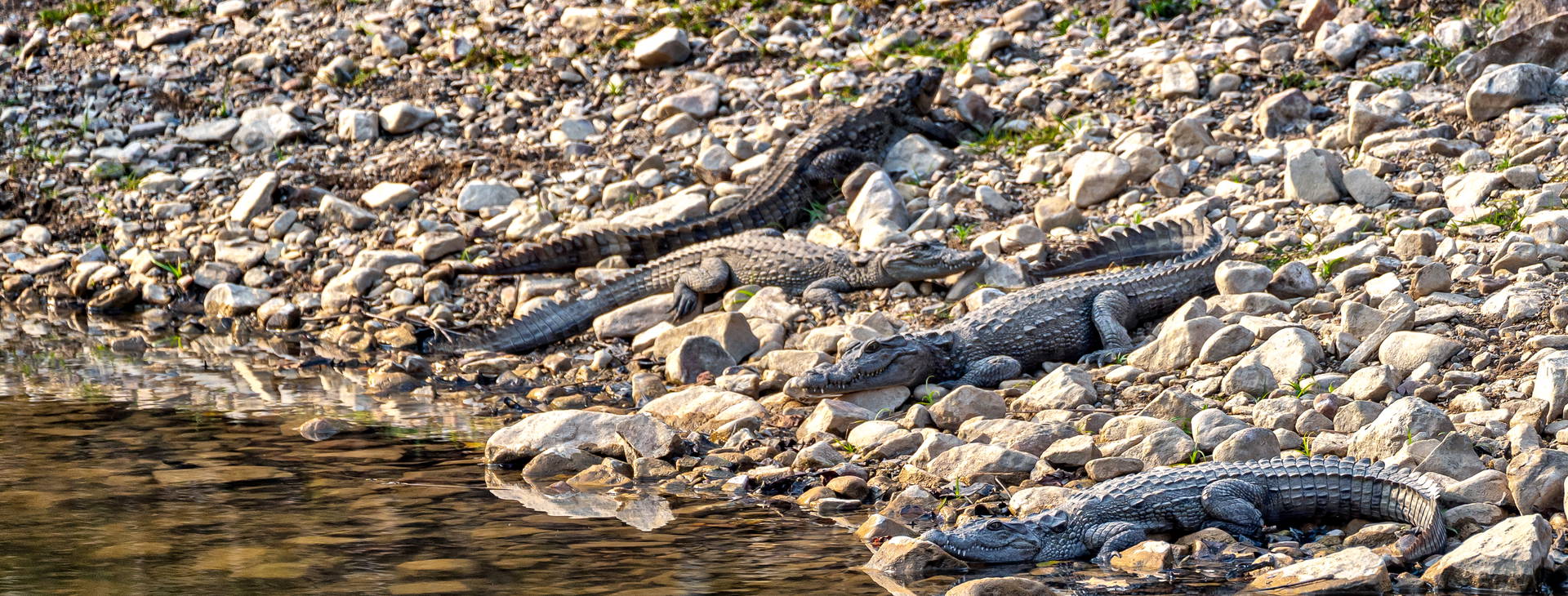 Ubytování IGT Obrázok8