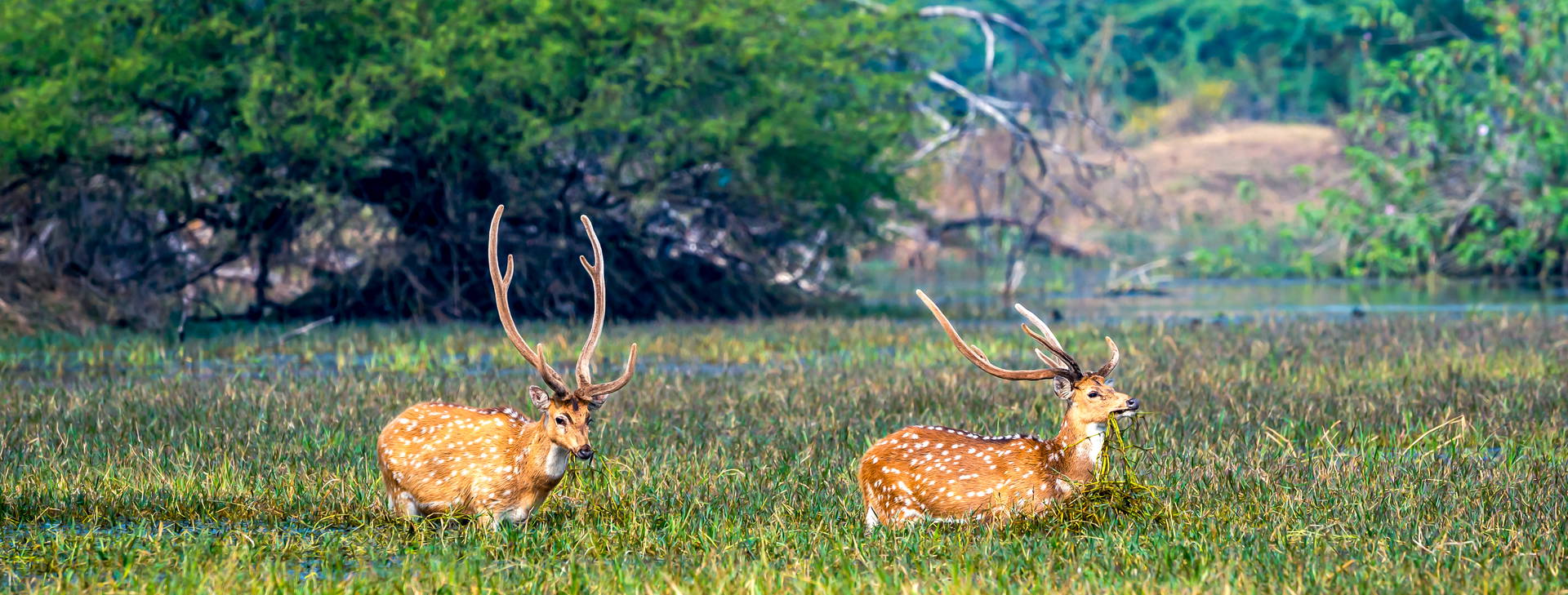 Ubytování IGT Obrázok9