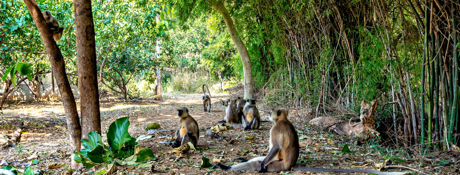 Ubytování IGT Obrázok10