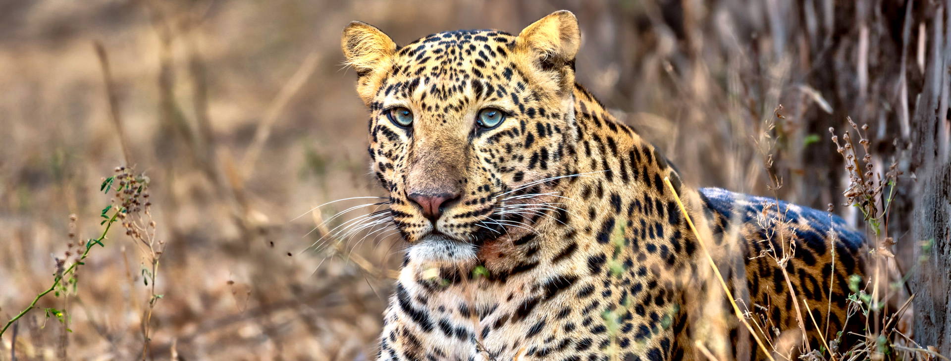 Ubytování IGT Obrázok11