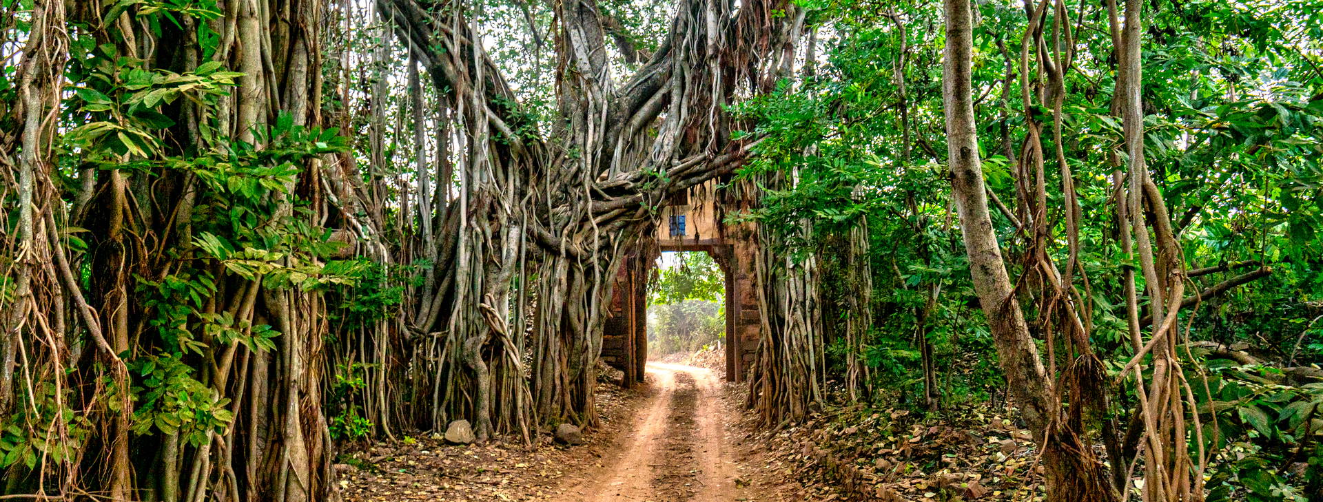 Ubytování IGT Obrázok7