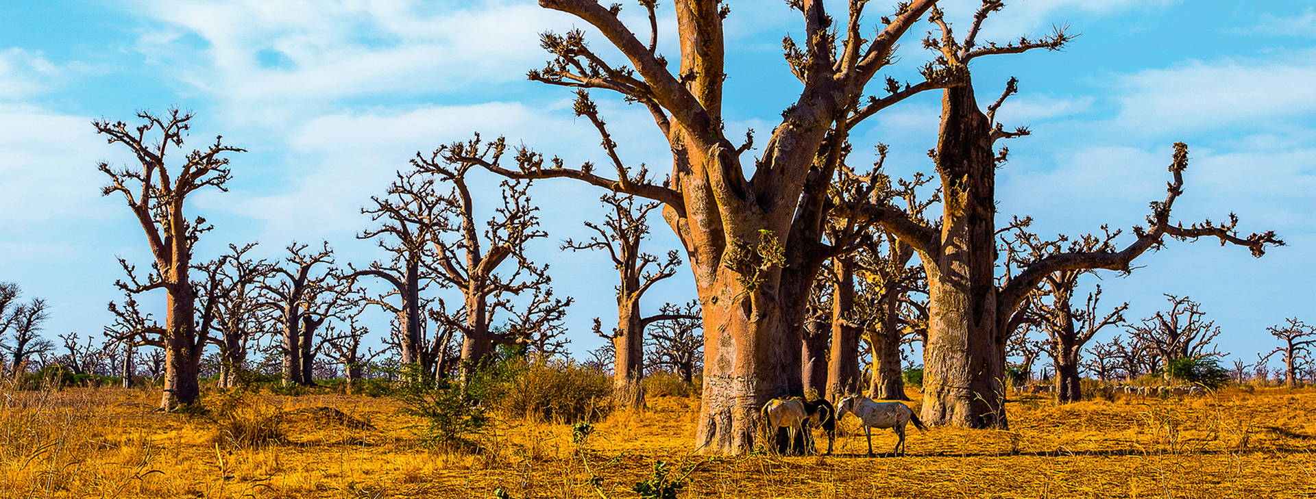 Ubytování GAM Obrázok1