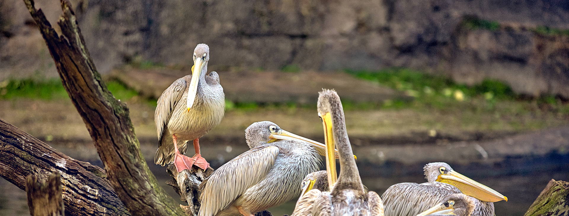 Ubytování GAM Obrázok5