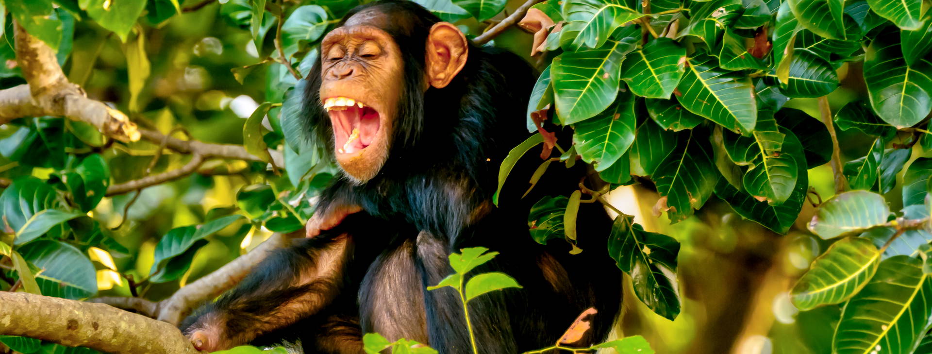 Ubytování GAM Obrázok11