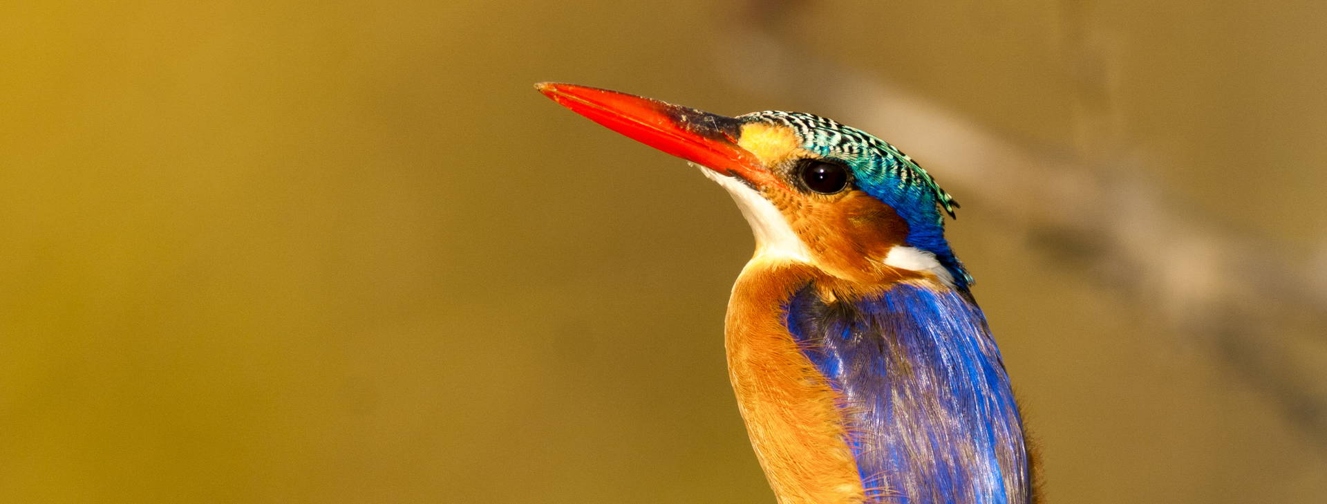 Ubytování GAM Obrázok13