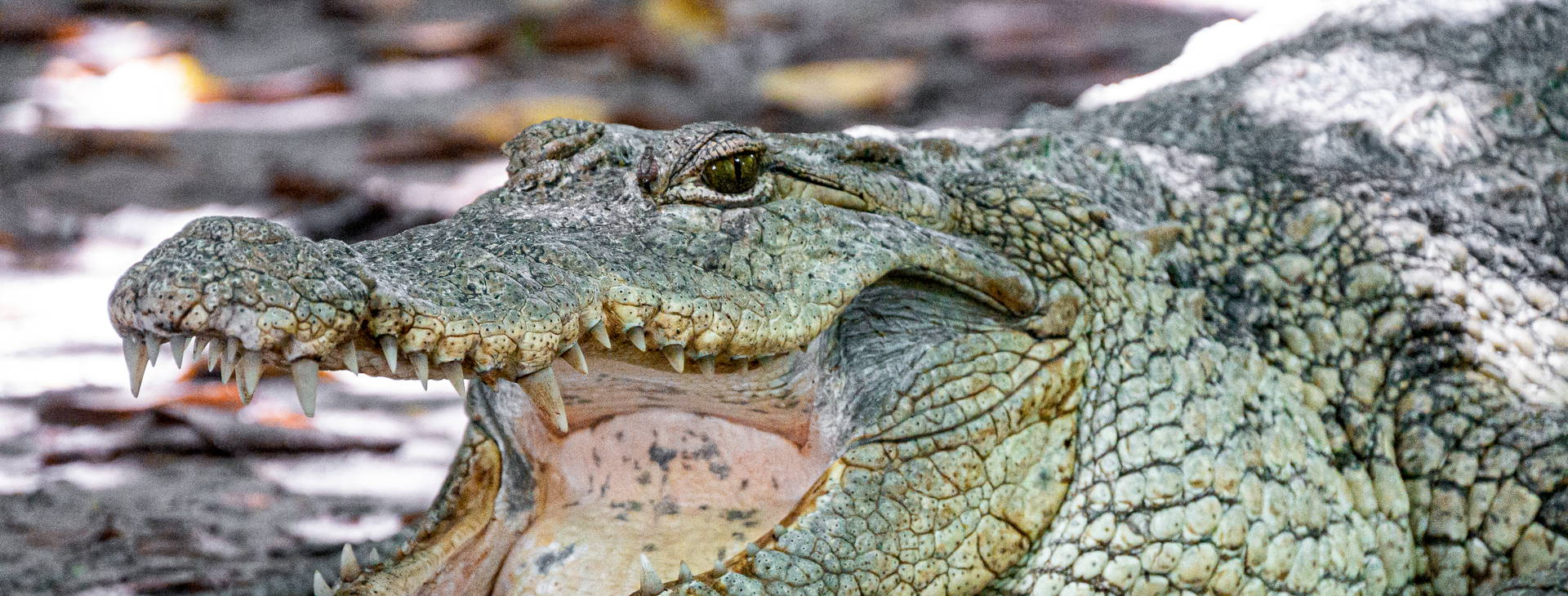 Ubytování GAM Obrázok15