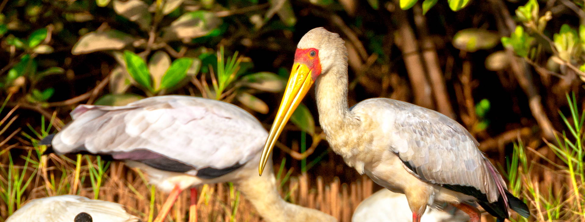 Ubytování GAM Obrázok23