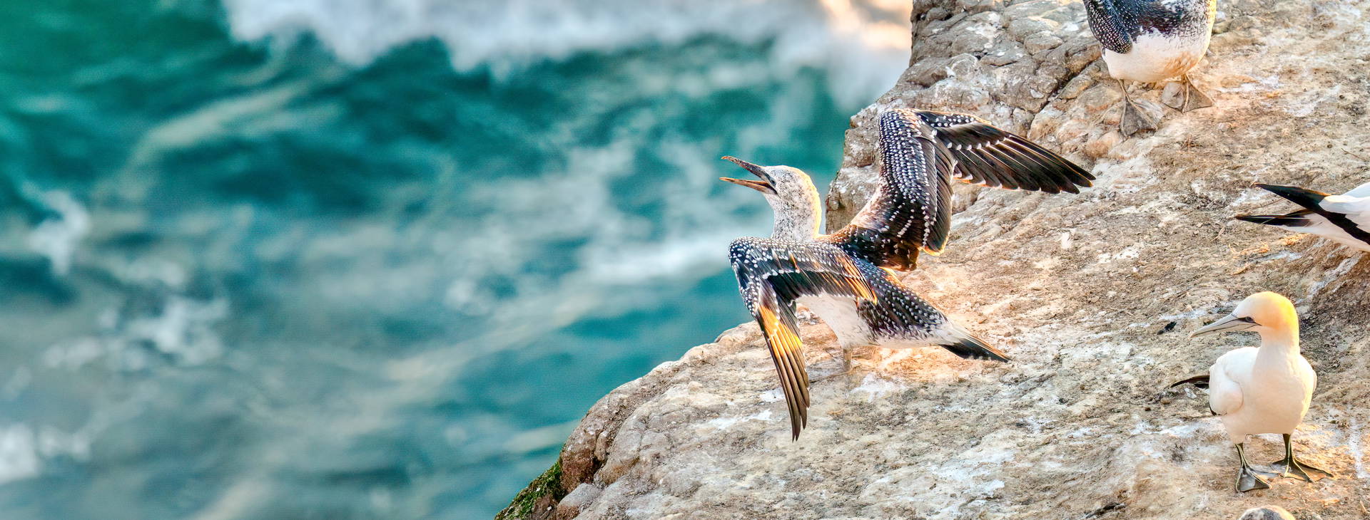 Ubytování AUE Obrázok15