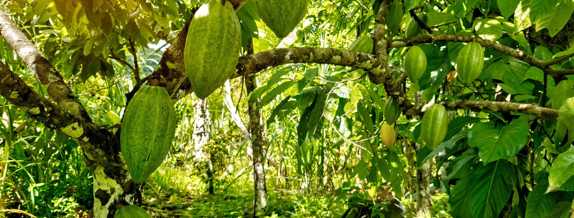 Ubytování BSA Obrázok4