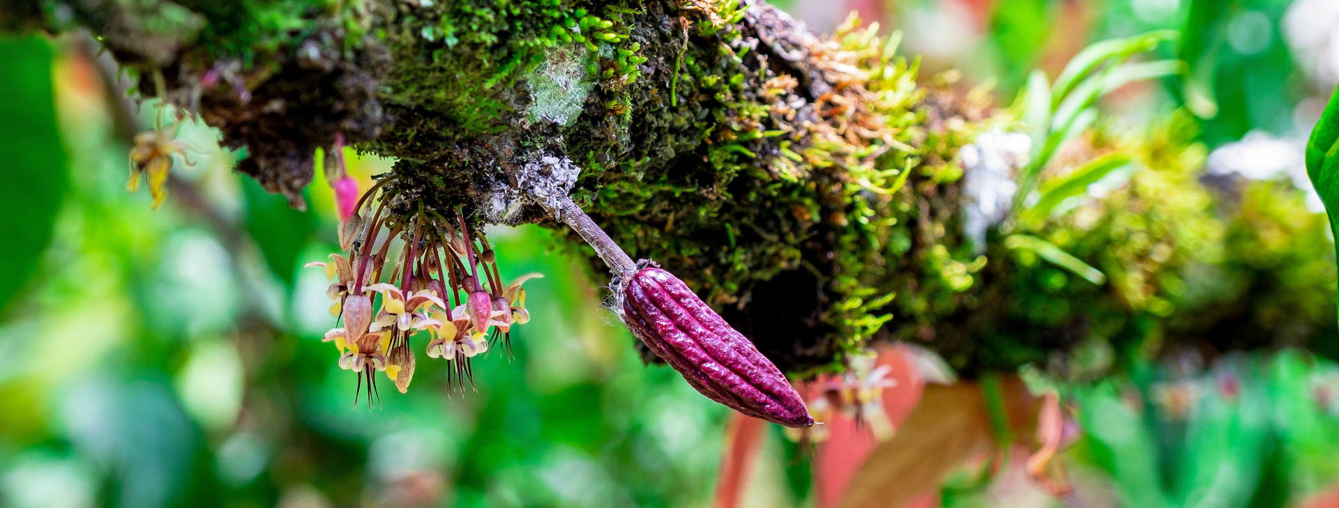 Ubytování BSA Obrázok19