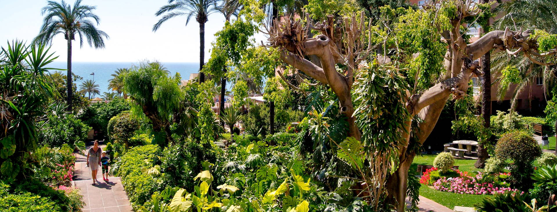 Best Siroco Obrázok14