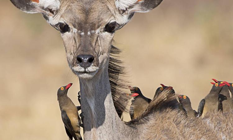 Ubytování RPO léto-obr