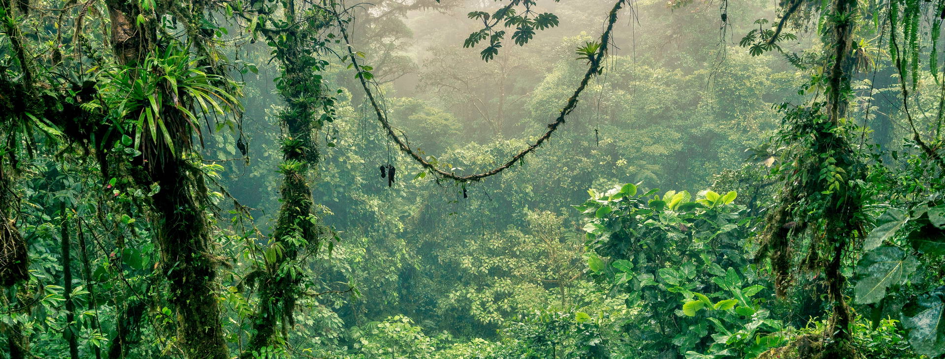 Ubytování PNK Obrázok18