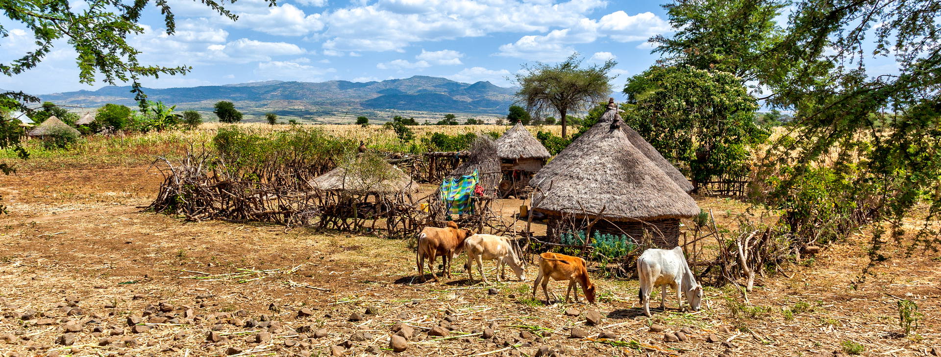 Ubytování ETC Obrázok1