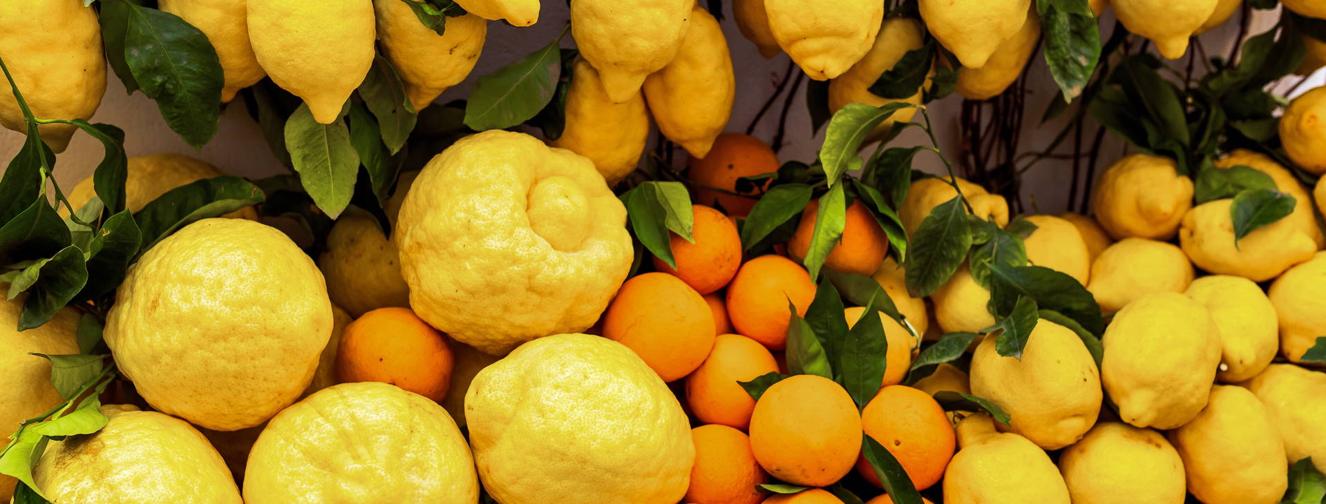 Ubytování NPC Obrázok13