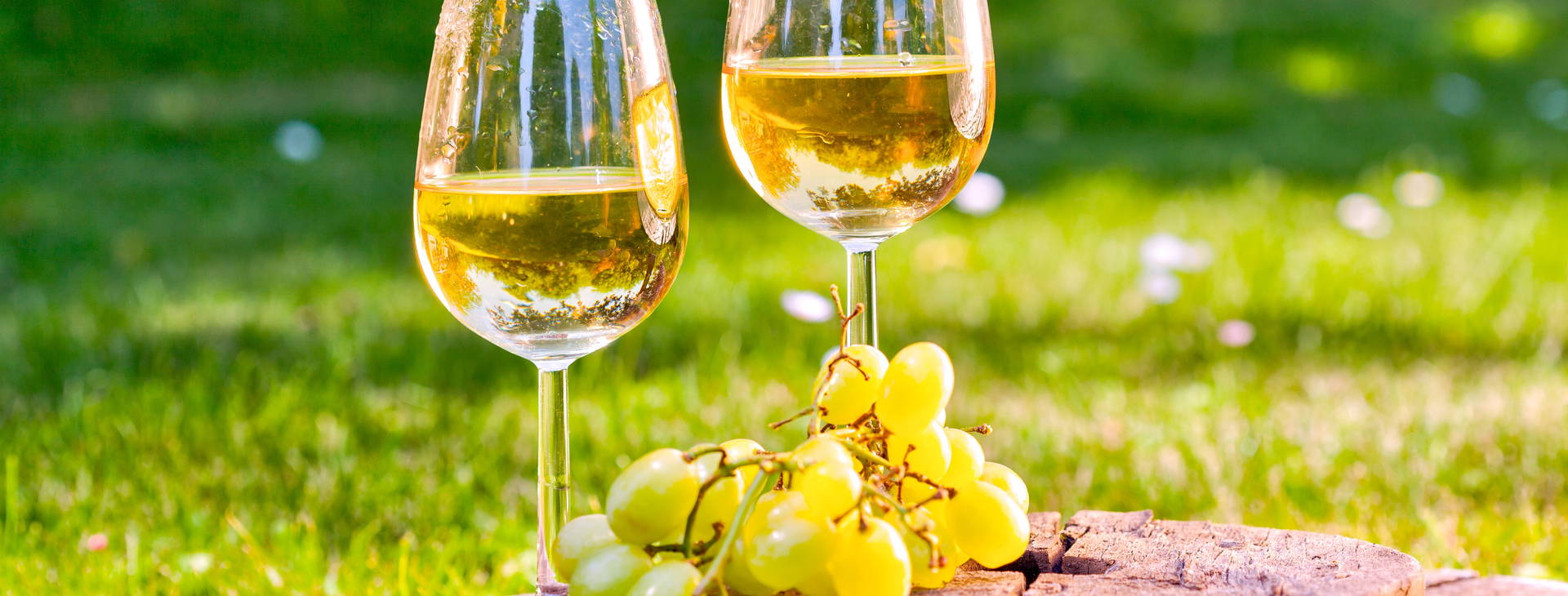 Ubytování CHW Obrázok5