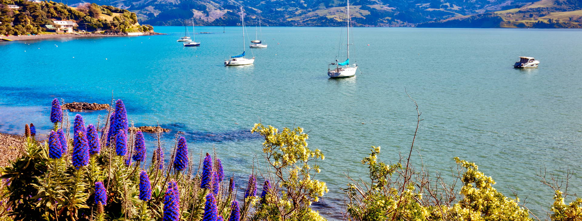 Ubytování ANC (Norwegian Spirit) Obrázok6