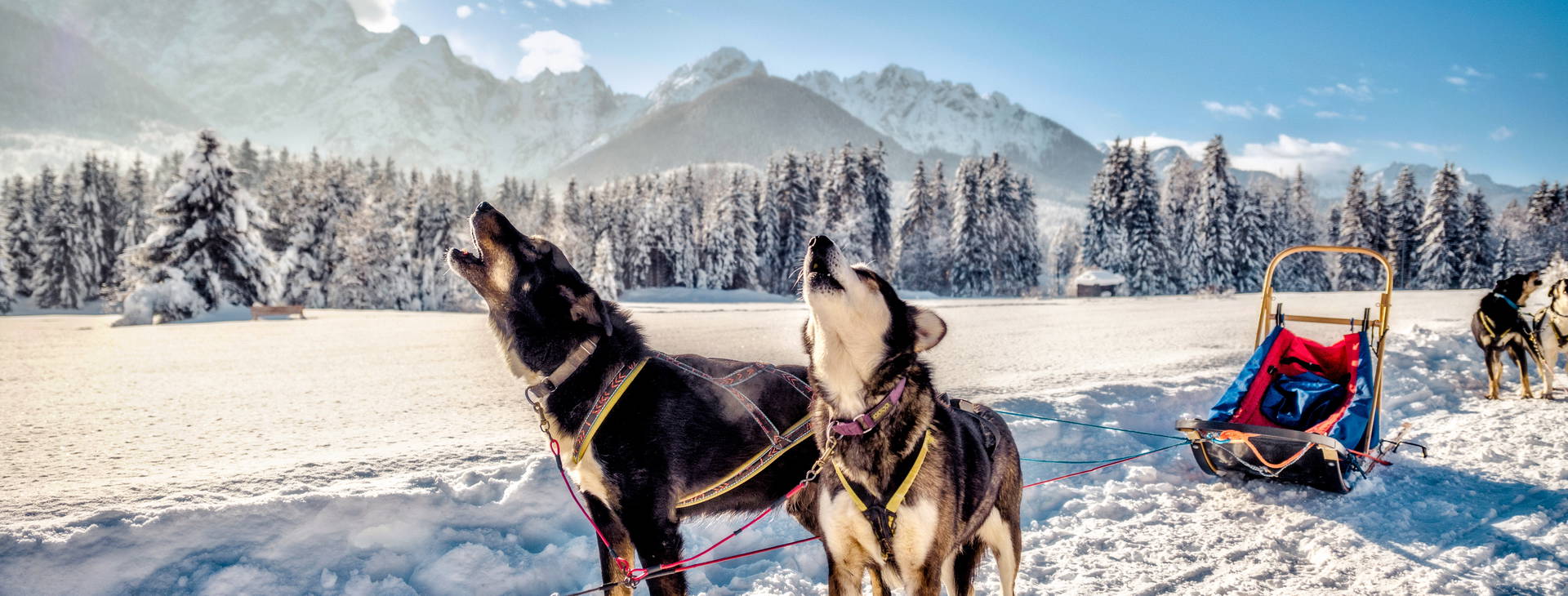 Ubytování GRM Obrázok7