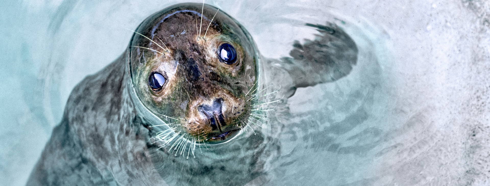 Ubytování GRM Obrázok4