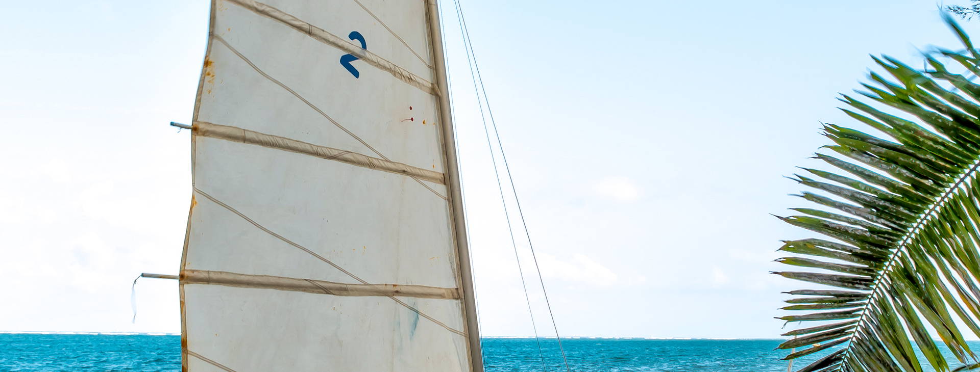 Serena Beach Resort & SPA Obrázok15