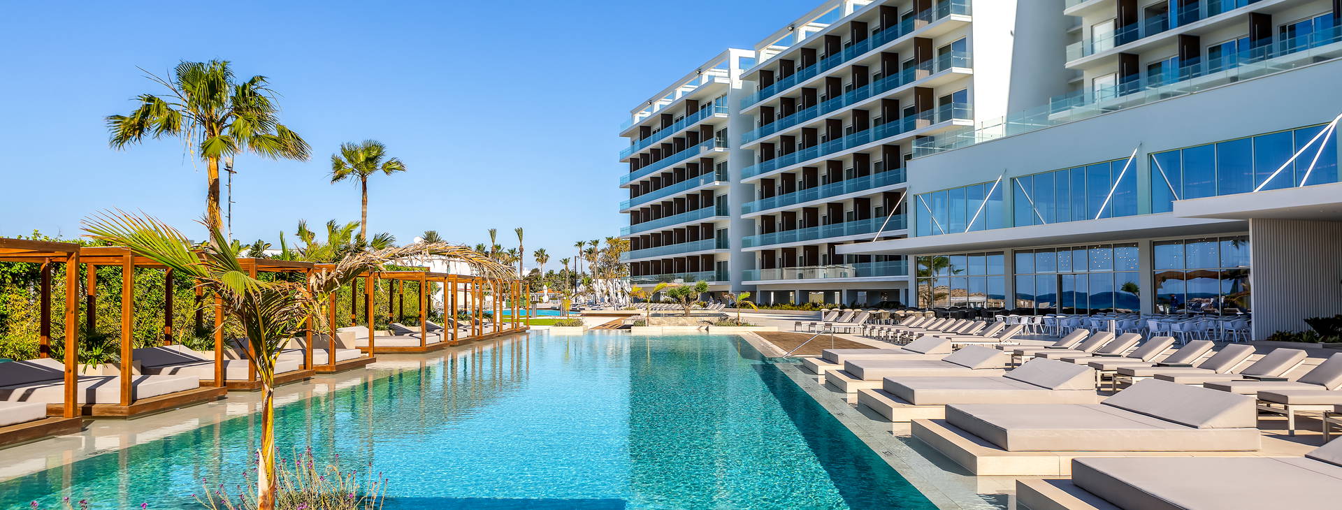 Chrysomare Obrázok0