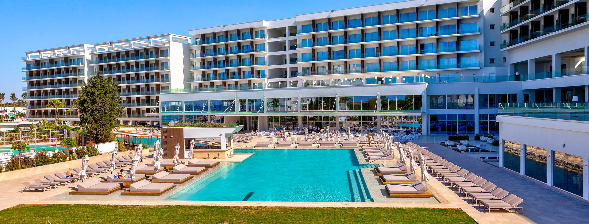 Chrysomare Obrázok6