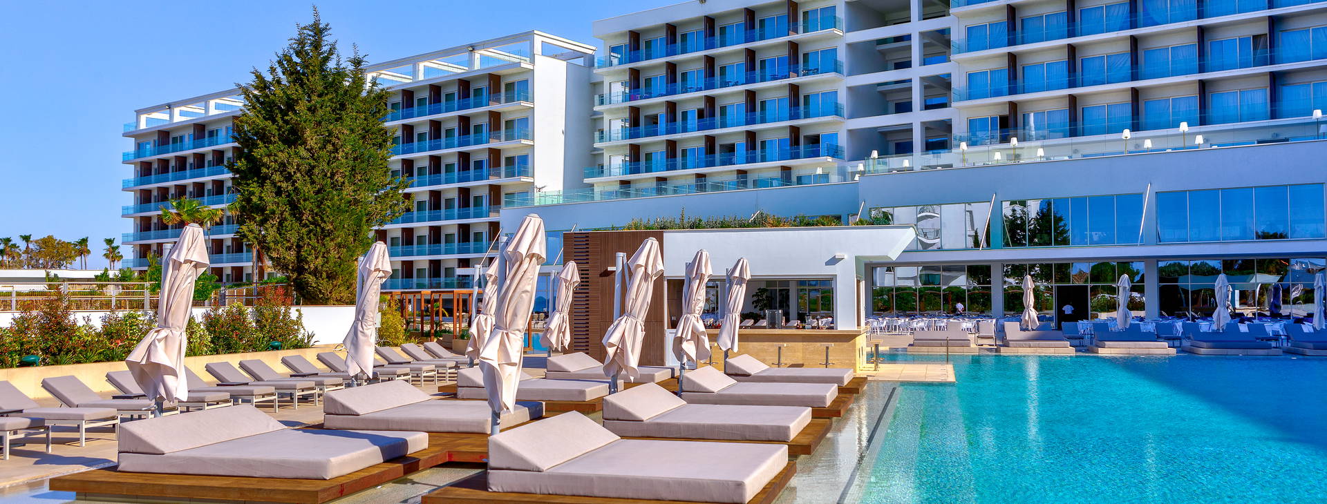 Chrysomare Obrázok4