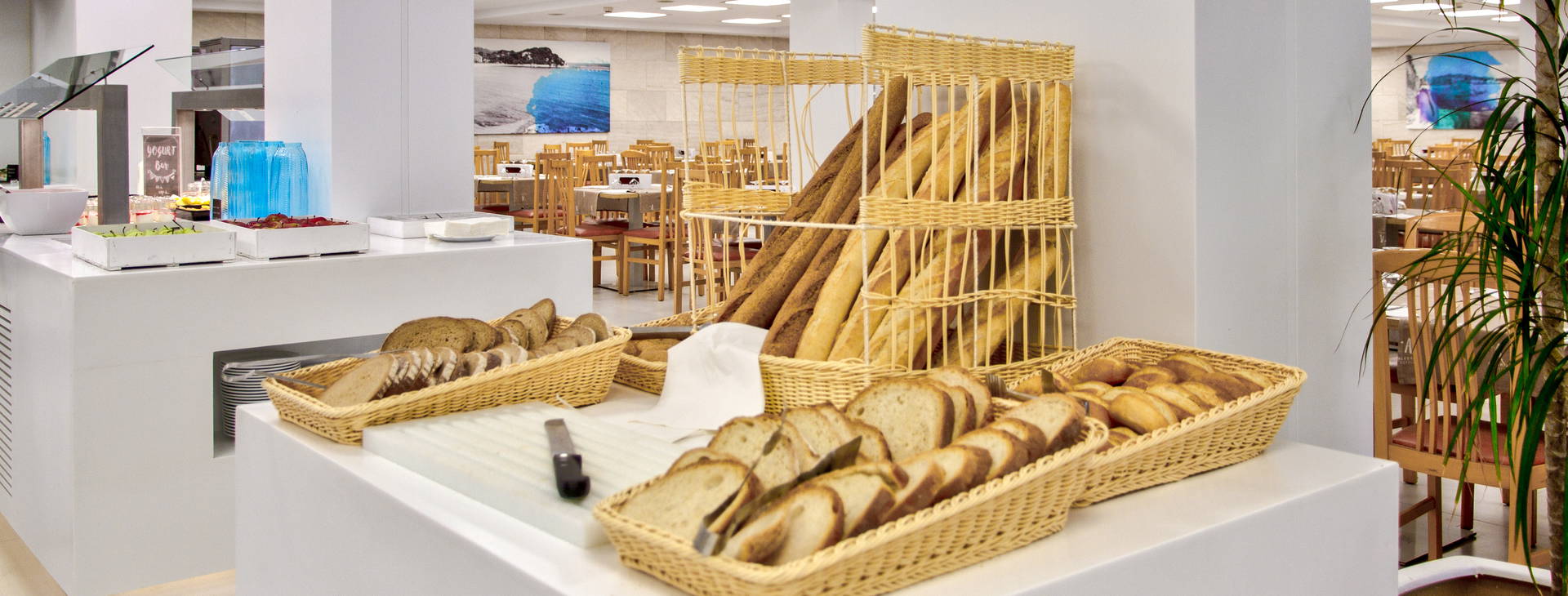 ALEGRIA Fenals Mar Obrázok8